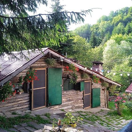 Zimska Idila Appartement Crni Vrh Buitenkant foto