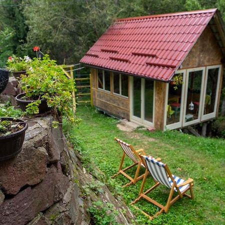Zimska Idila Appartement Crni Vrh Buitenkant foto