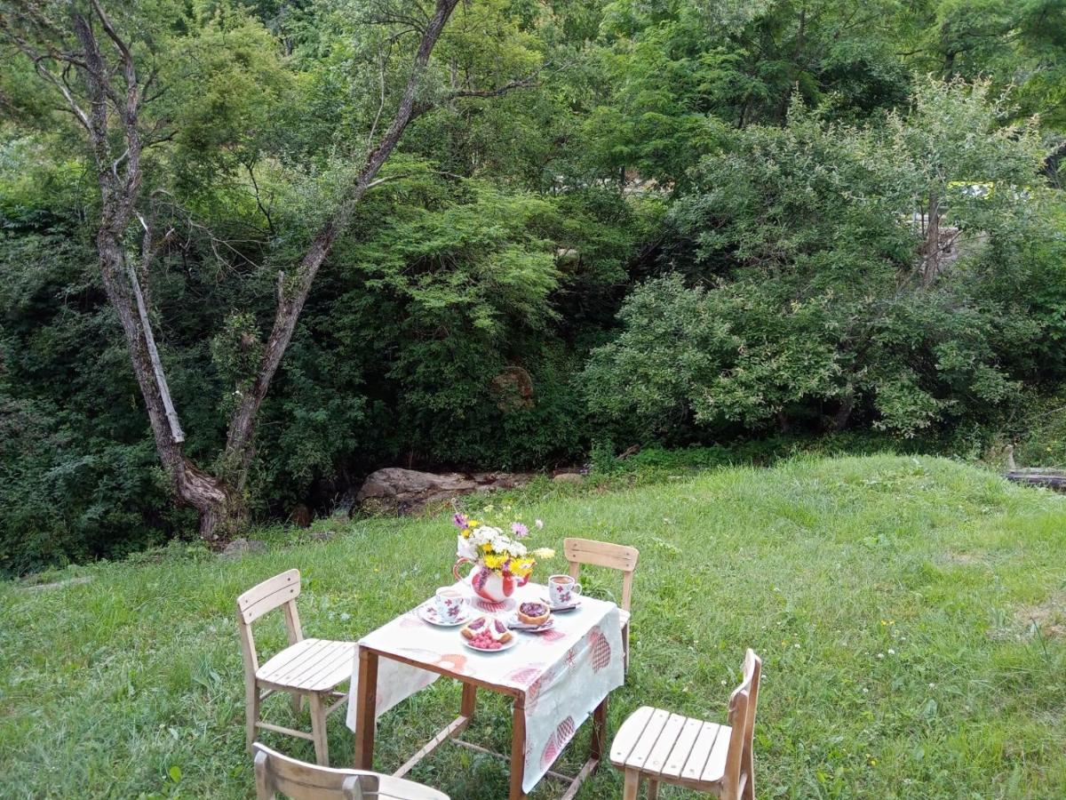 Zimska Idila Appartement Crni Vrh Buitenkant foto