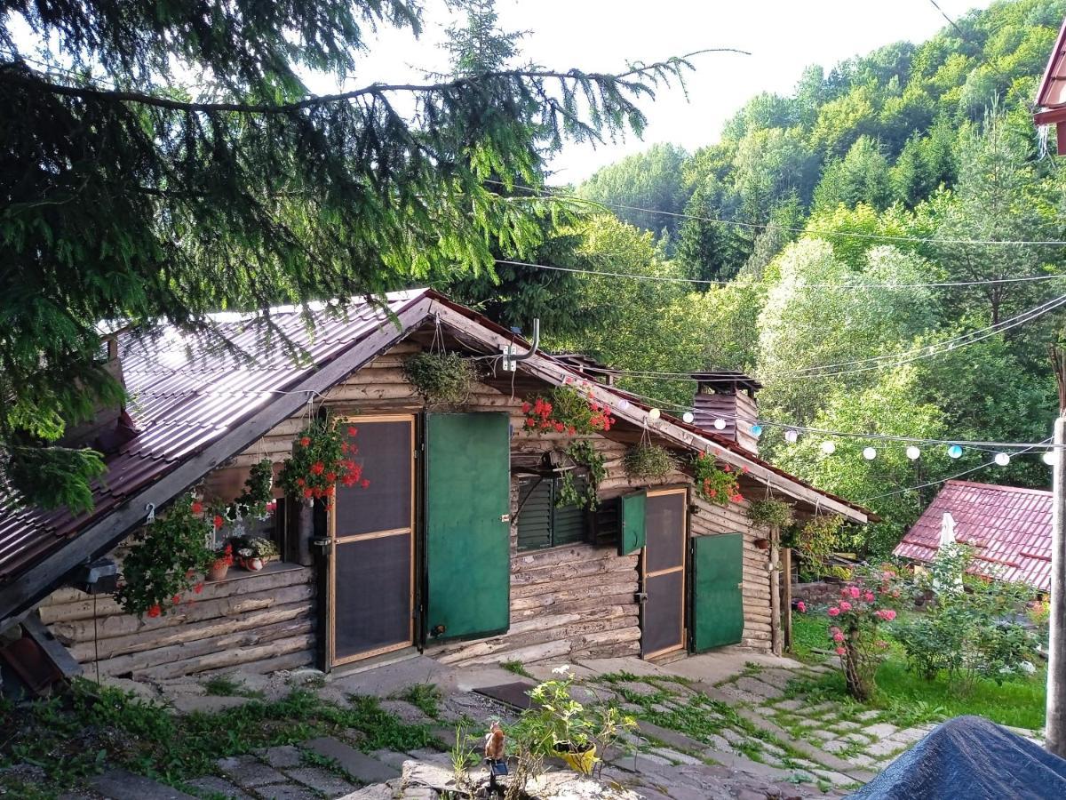 Zimska Idila Appartement Crni Vrh Buitenkant foto