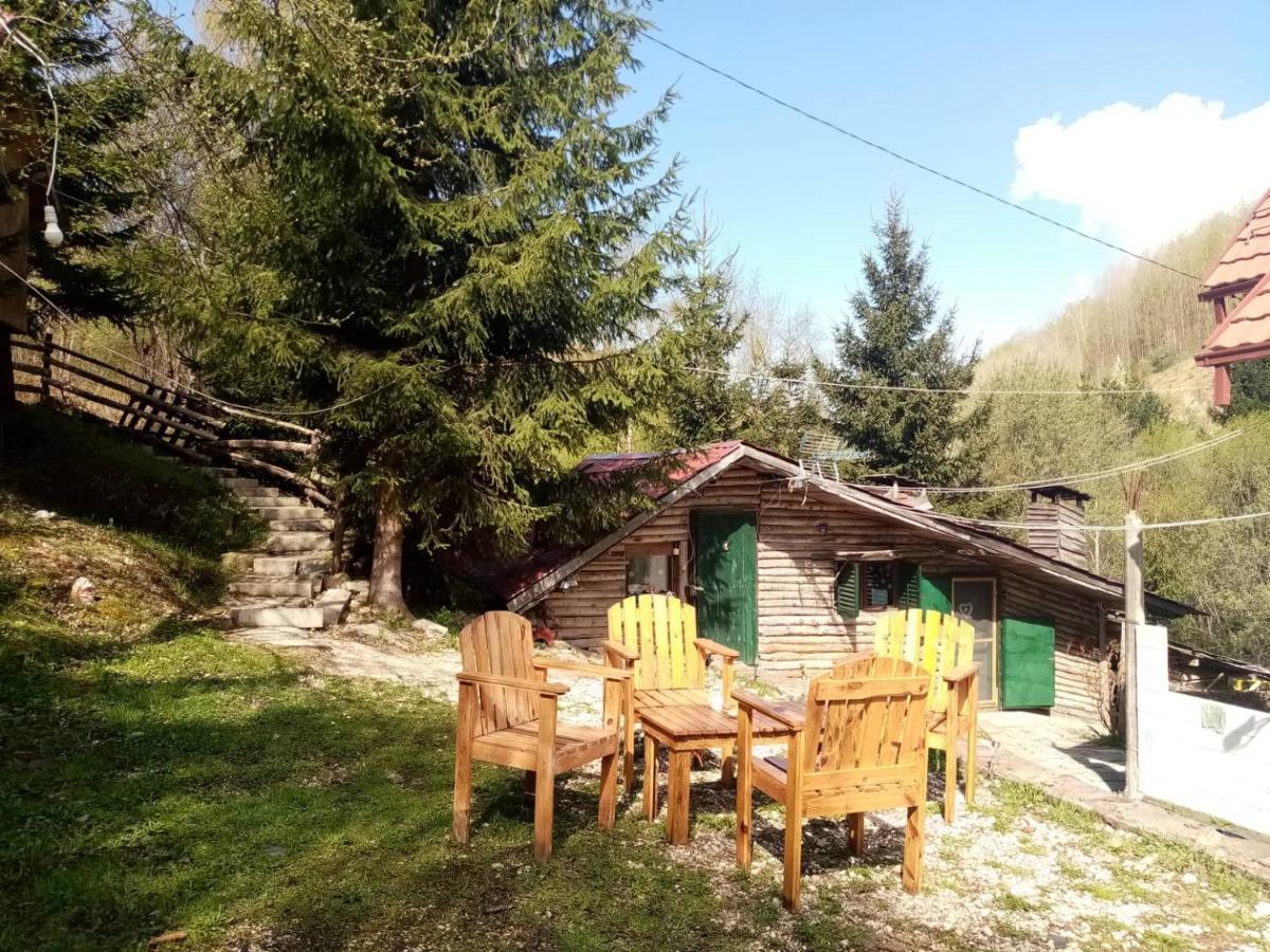 Zimska Idila Appartement Crni Vrh Buitenkant foto