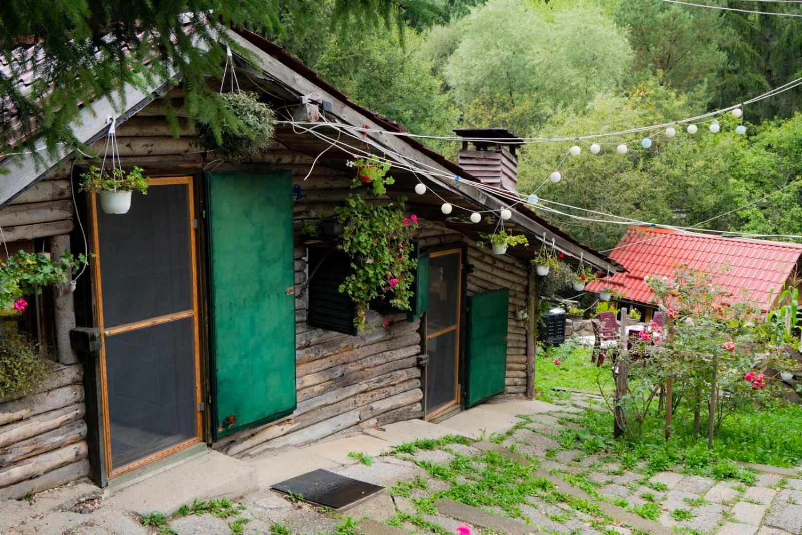 Zimska Idila Appartement Crni Vrh Buitenkant foto